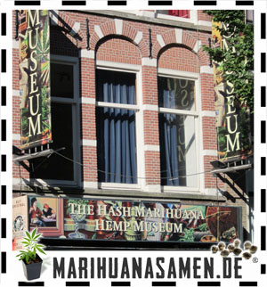 Marihuana Museum in Amsterdam